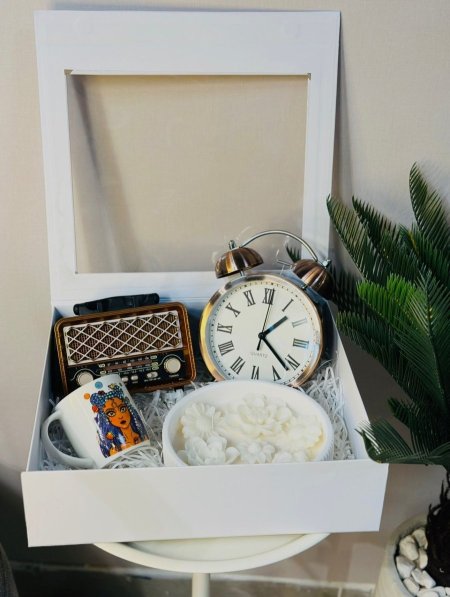 صندوق تركيب شفاف صغير (24*18*10سم)